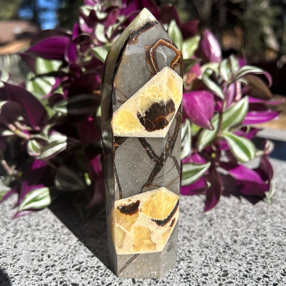 Septarian Tower
